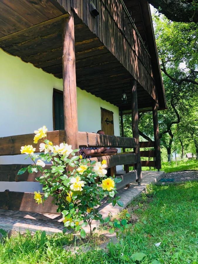 Еко Дім З Соломи Vila Solochin Exterior foto