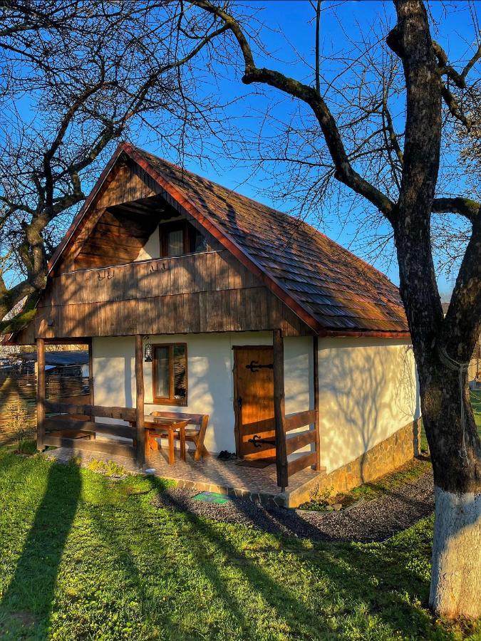 Еко Дім З Соломи Vila Solochin Exterior foto