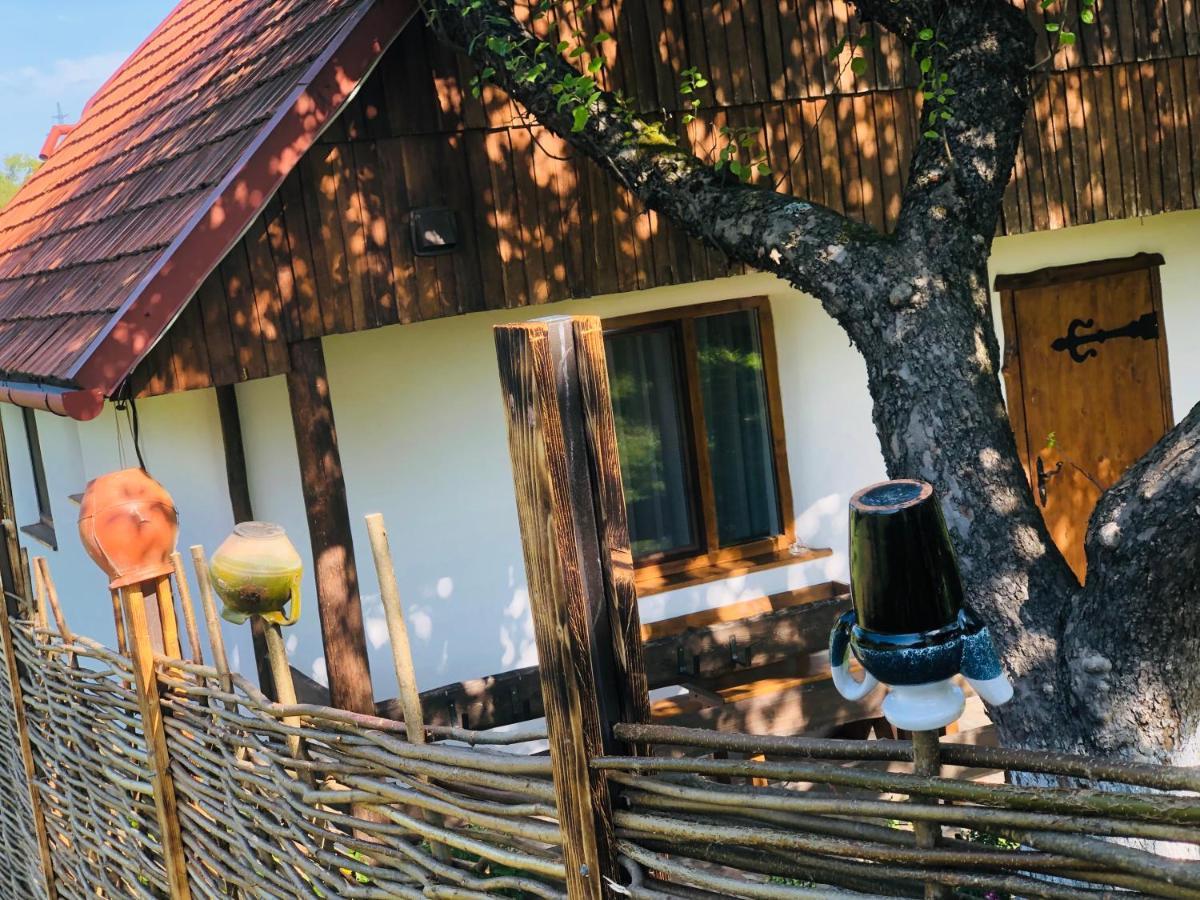 Еко Дім З Соломи Vila Solochin Exterior foto