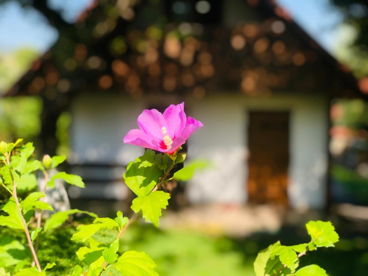 Еко Дім З Соломи Vila Solochin Exterior foto