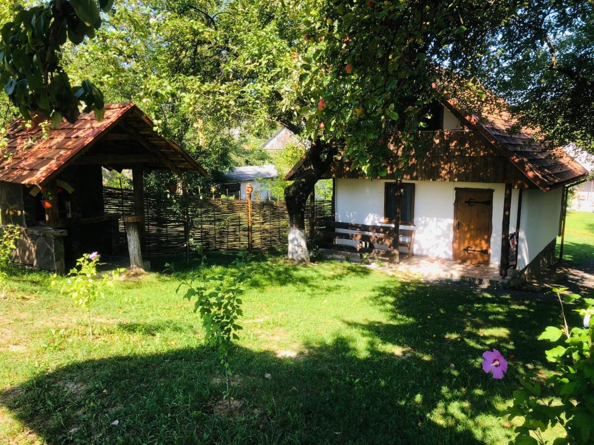Еко Дім З Соломи Vila Solochin Exterior foto