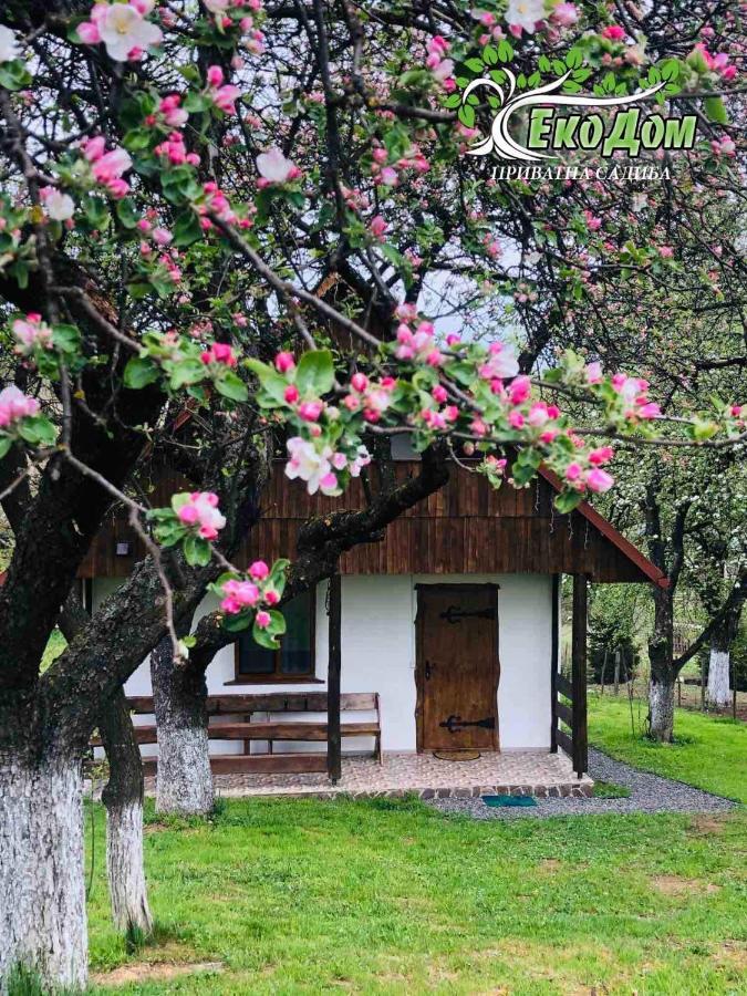 Еко Дім З Соломи Vila Solochin Exterior foto