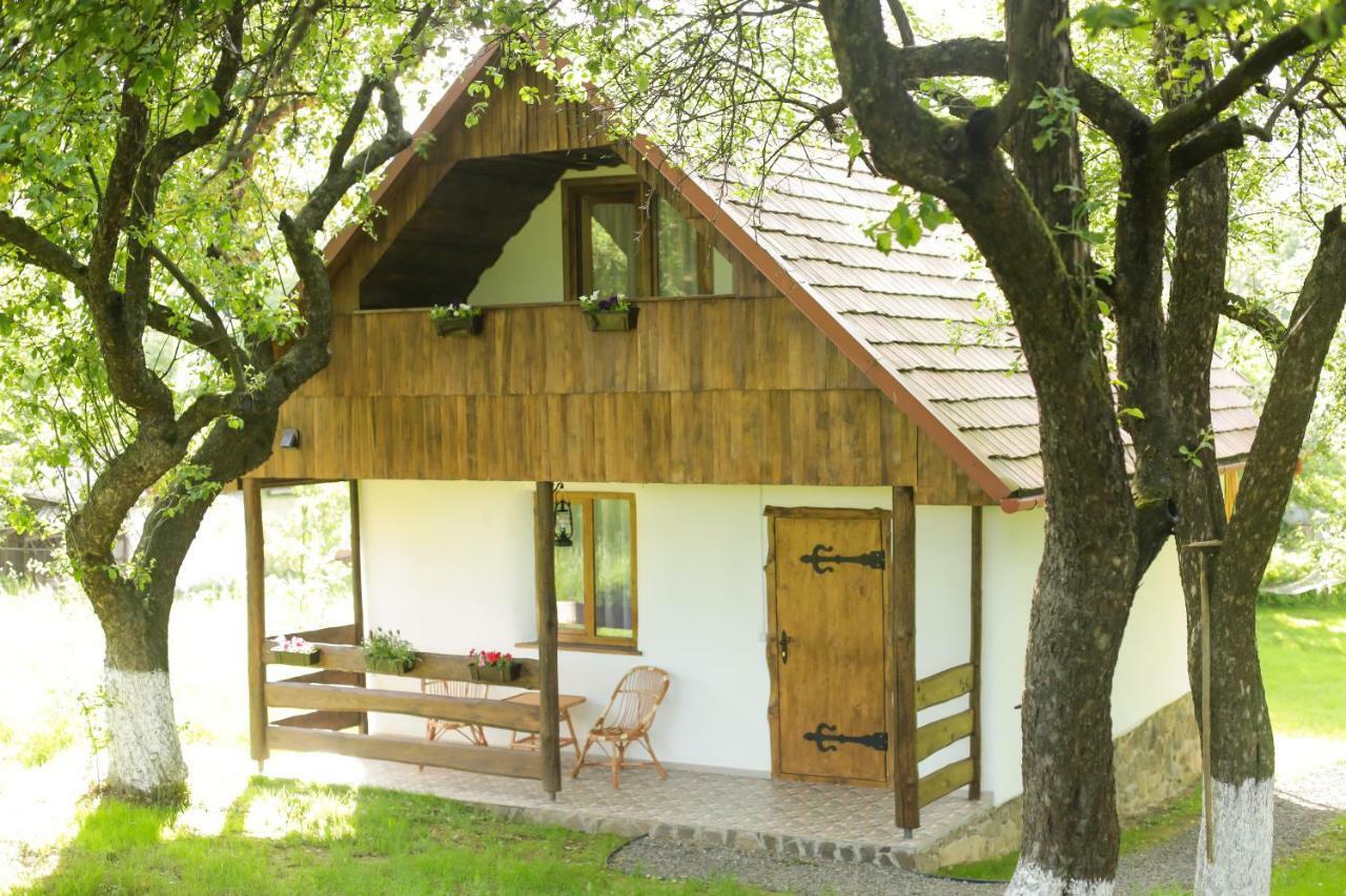 Еко Дім З Соломи Vila Solochin Exterior foto