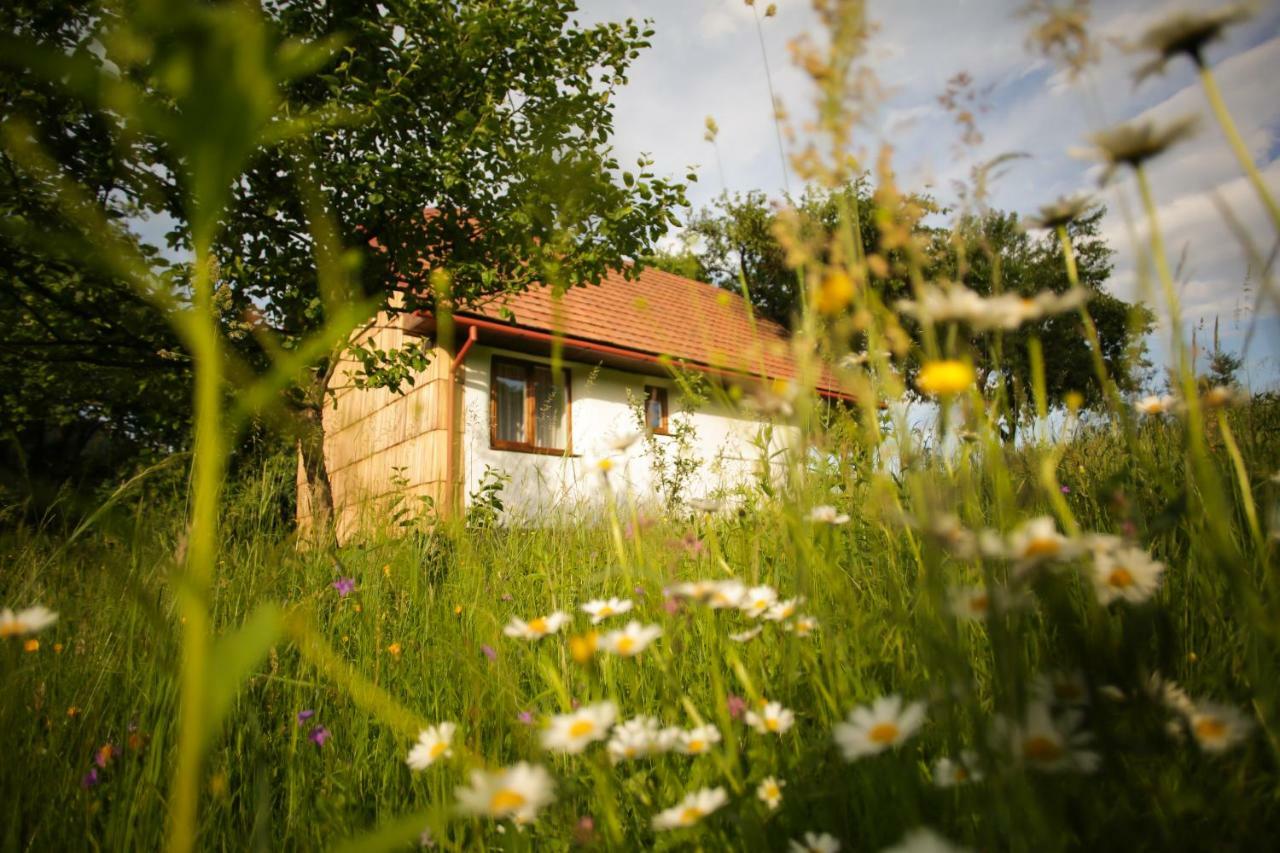 Еко Дім З Соломи Vila Solochin Exterior foto