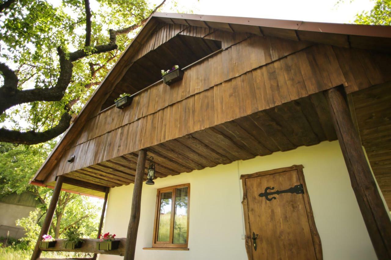 Еко Дім З Соломи Vila Solochin Exterior foto