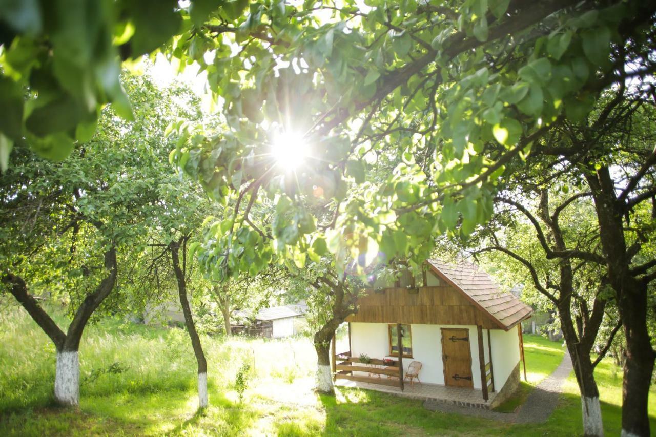 Еко Дім З Соломи Vila Solochin Exterior foto