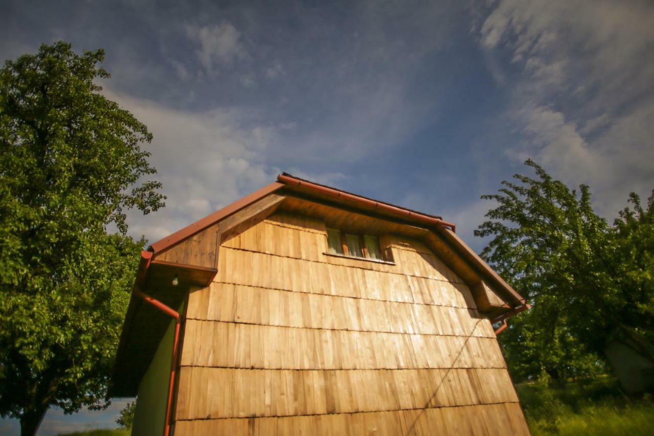 Еко Дім З Соломи Vila Solochin Exterior foto