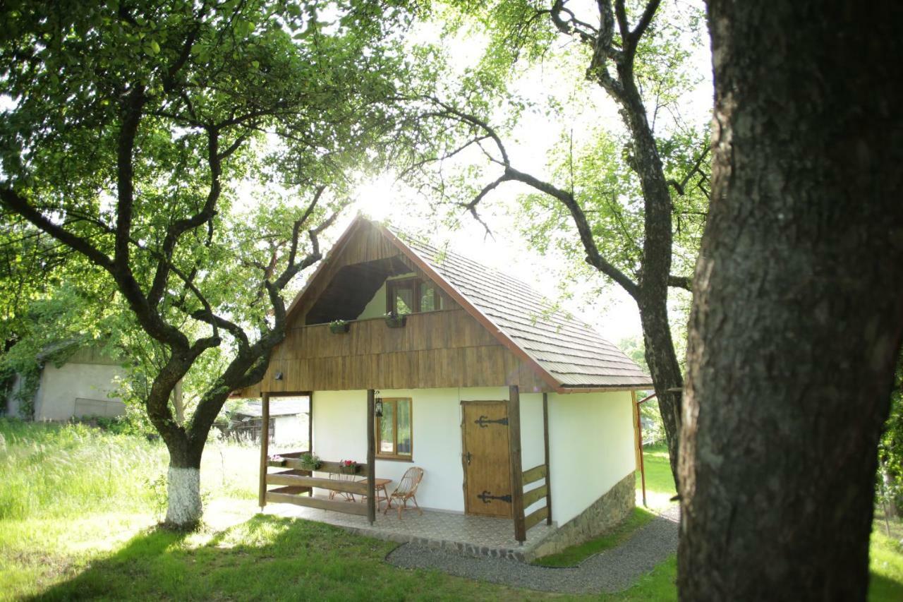 Еко Дім З Соломи Vila Solochin Exterior foto