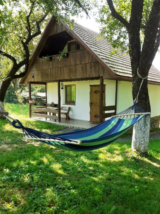 Еко Дім З Соломи Vila Solochin Exterior foto